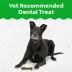 Greenies Aging Care Dog Dental Treats image thumbnail 3