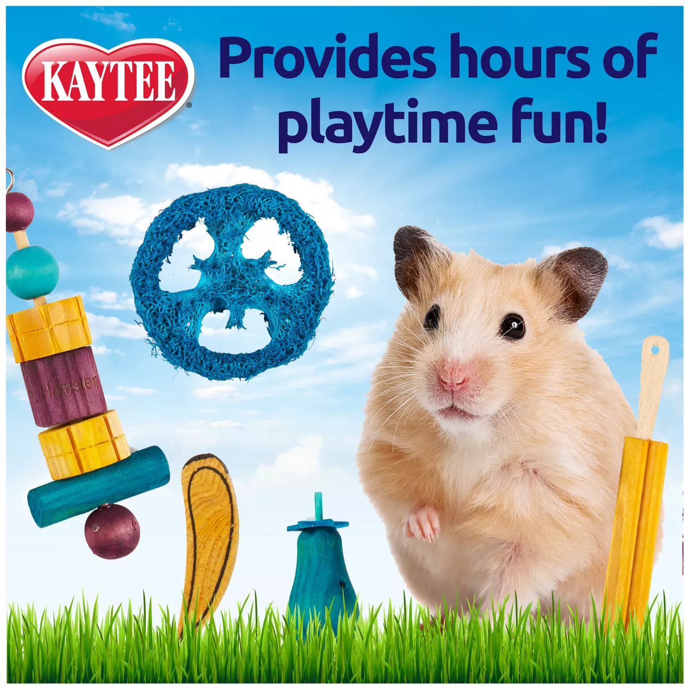 KAYTEE Chew Treat Hamster Toy Box