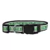 Pets First NBA Boston Celtics Satin Dog Collar image thumbnail 1
