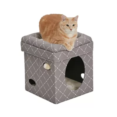 Midwest Curious Cat Cat Cube - Image 1