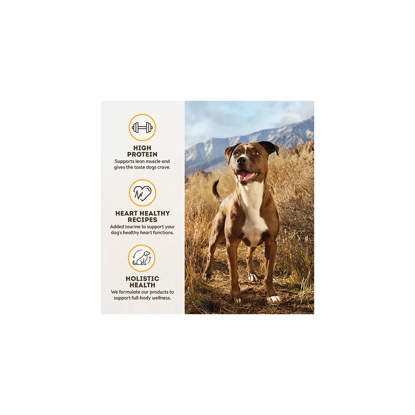 Only fashion natural pet easyraw dog food reviews