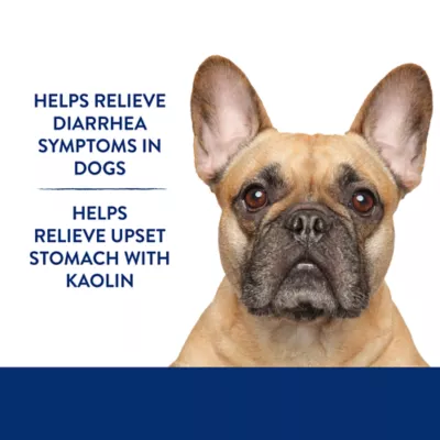 Top Paw Dog MX Anti-Diarrhea Liquid Supplement for Dogs, Upset Stomach Relief, 8 fl oz - Image 3