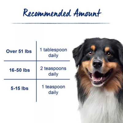 Top Paw Dog MX Anti-Diarrhea Liquid Supplement for Dogs, Upset Stomach Relief, 8 fl oz - Image 5