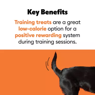 Product Wiggles & Wags Training Bites Bacon Dog Treats