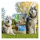 Product Only Natural Pet PowerFood Adult Dog Food - Grain Free, Fish Feast