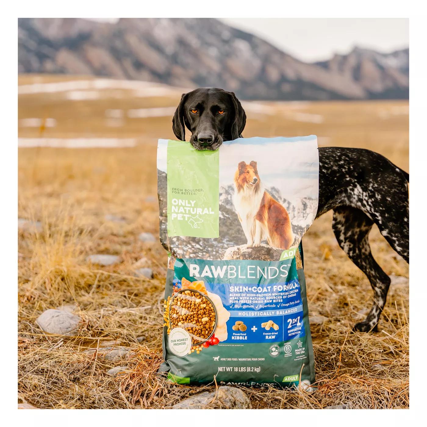 Just natural dog food prices best sale