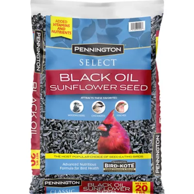 Product Pennington® Select Black Oil Sunflower Bird Seed