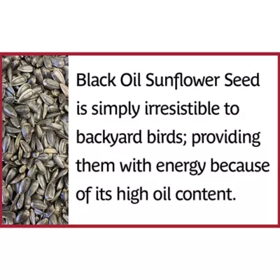 Product Pennington® Select Black Oil Sunflower Bird Seed