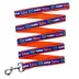 Pets First NCAA Florida Satin Dog Leash image thumbnail 1