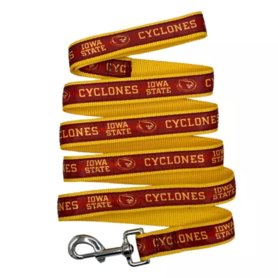 Pets First NCAA Iowa State Satin Dog Leash - Image 1