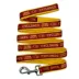 Pets First NCAA Iowa State Satin Dog Leash image thumbnail 1