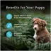 Blue Buffalo Wilderness Rocky Mountain Recipe High Protein with DHA, Puppy Dry Dog Food - Red Meat image thumbnail 4