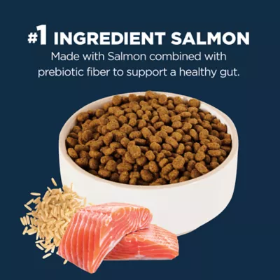 Product Authority Digestive Support Adult Cat Food - Gut Health, Salmon & Rice Formula