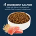 Authority Digestive Support Adult Cat Food - Gut Health, Salmon & Rice Formula image thumbnail 3