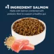 Product Authority Digestive Support Adult Cat Food - Gut Health, Salmon & Rice Formula