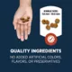 Product Authority Digestive Support Adult Cat Food - Gut Health, Salmon & Rice Formula