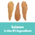 Wiggles & Wags Salmon Meaty Strips Dog Treats 16 OZ image thumbnail 4