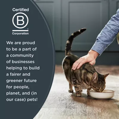 Product Reveal Freeze Dried Bites Cat Treats - Grain Free, .88 Oz