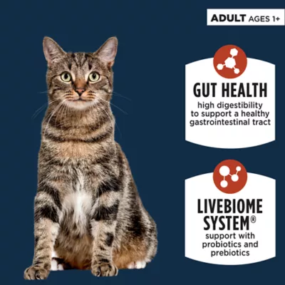 Product Authority Digestive Support Adult Cat Food - Gut Health, Salmon & Rice Formula