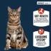 Authority Digestive Support Adult Cat Food - Gut Health, Salmon & Rice Formula image thumbnail 2