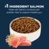 Authority Digestive Support Adult Cat Food - Gut Health, Salmon & Rice Formula image thumbnail 3