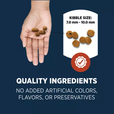 Product Authority Digestive Support Adult Cat Food - Gut Health, Salmon & Rice Formula