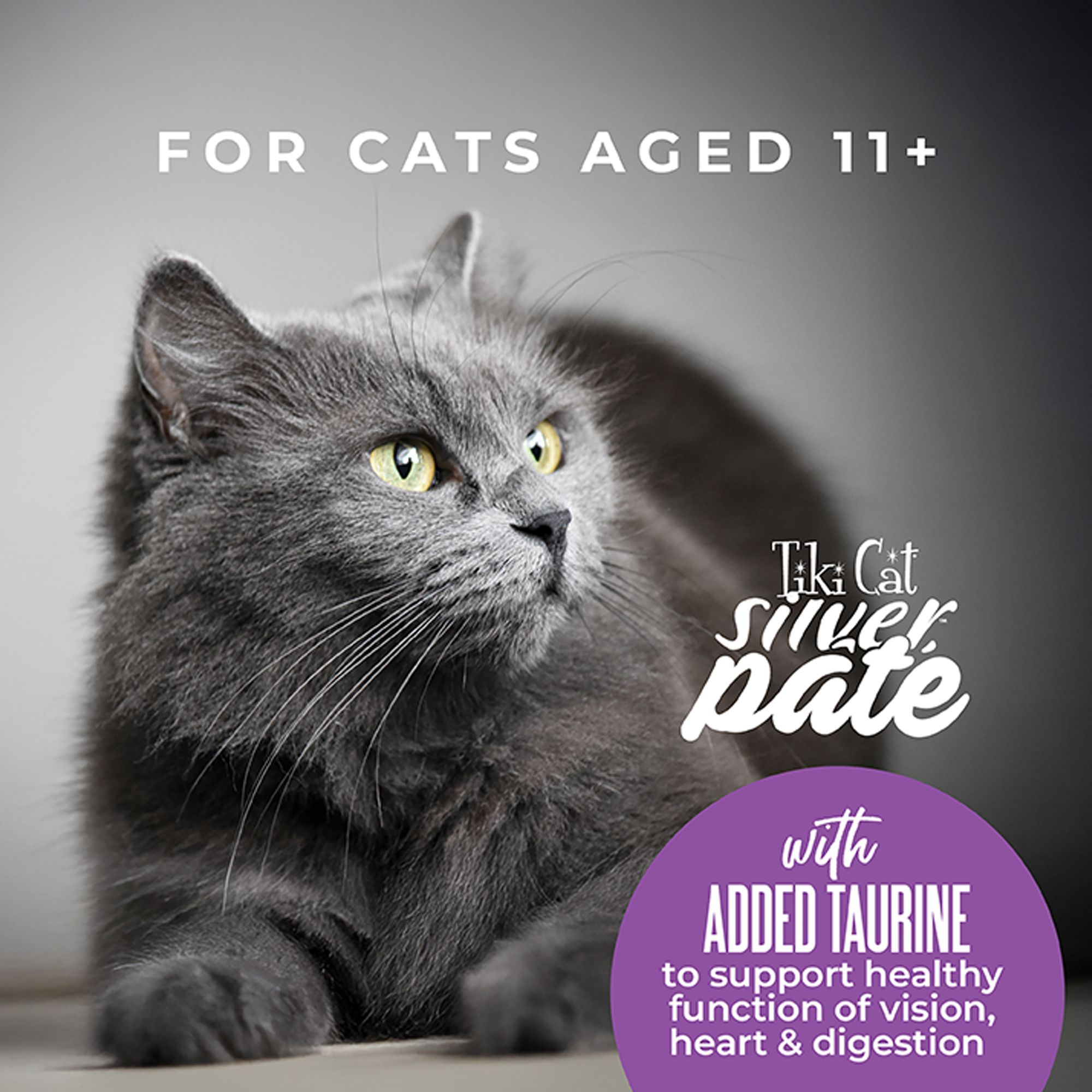 Tiki Cat Silver Pate Senior Wet Cat Food - Natural, 2.4oz