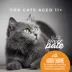 Tiki Cat Silver Pate Senior Wet Cat Food - Natural, 2.4oz image thumbnail 6
