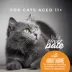 Tiki Cat Silver Pate Senior Wet Cat Food Variety Pack - Natural image thumbnail 6