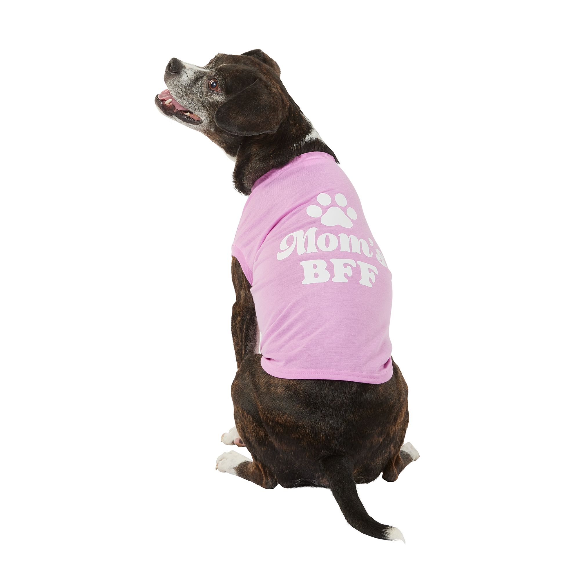 Petsmart dog clothes outlet clearance