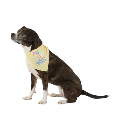 Product Top Paw® Birthday Dog Bandana