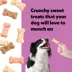 Wiggles & Wags Strawberry, Vanilla & Carob Neopolitan Cookies Dog Treats 14 OZ image thumbnail 5
