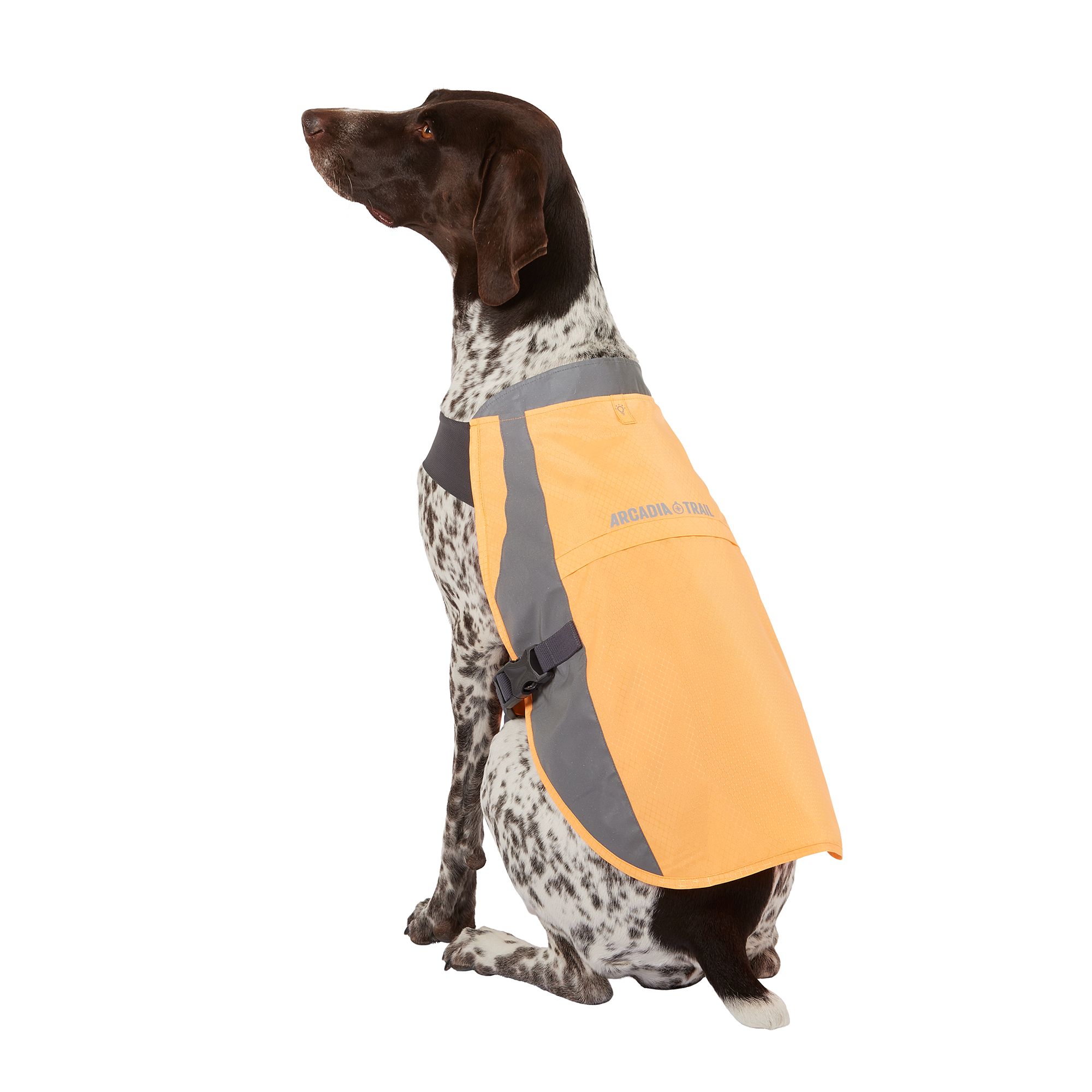 Arcadia Trail® Dog Safety Vest dog Sweaters PetSmart