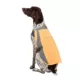 Product Arcadia Trail® Dog Safety Vest