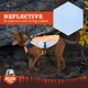 Product Arcadia Trail® Dog Safety Vest