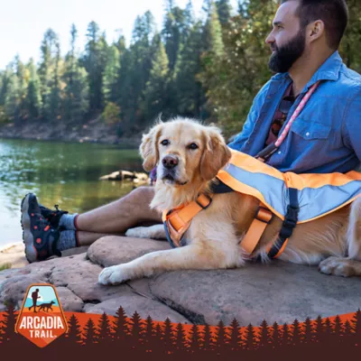 Product Arcadia Trail® Dog Safety Vest