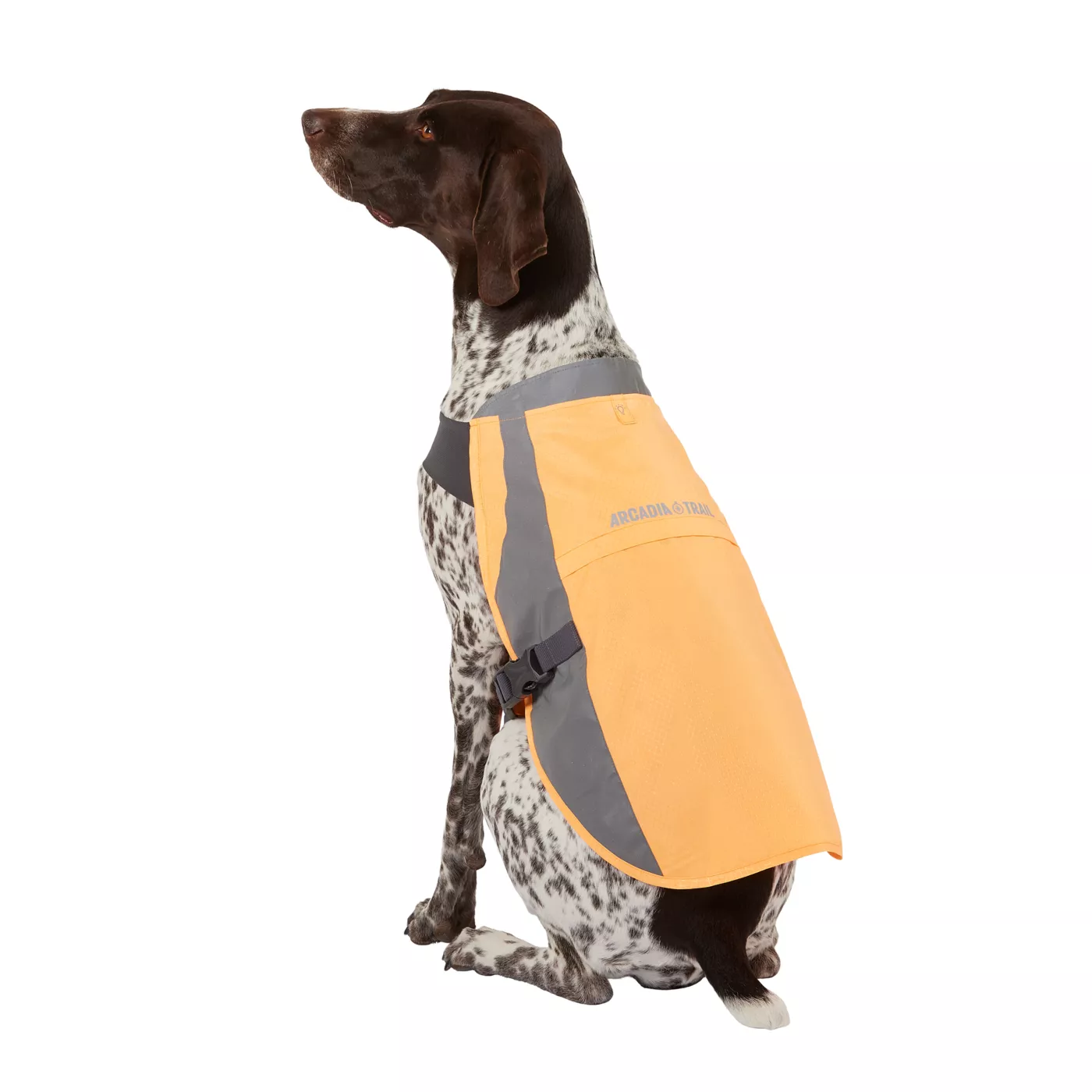 Arcadia Trail Dog Safety Vest