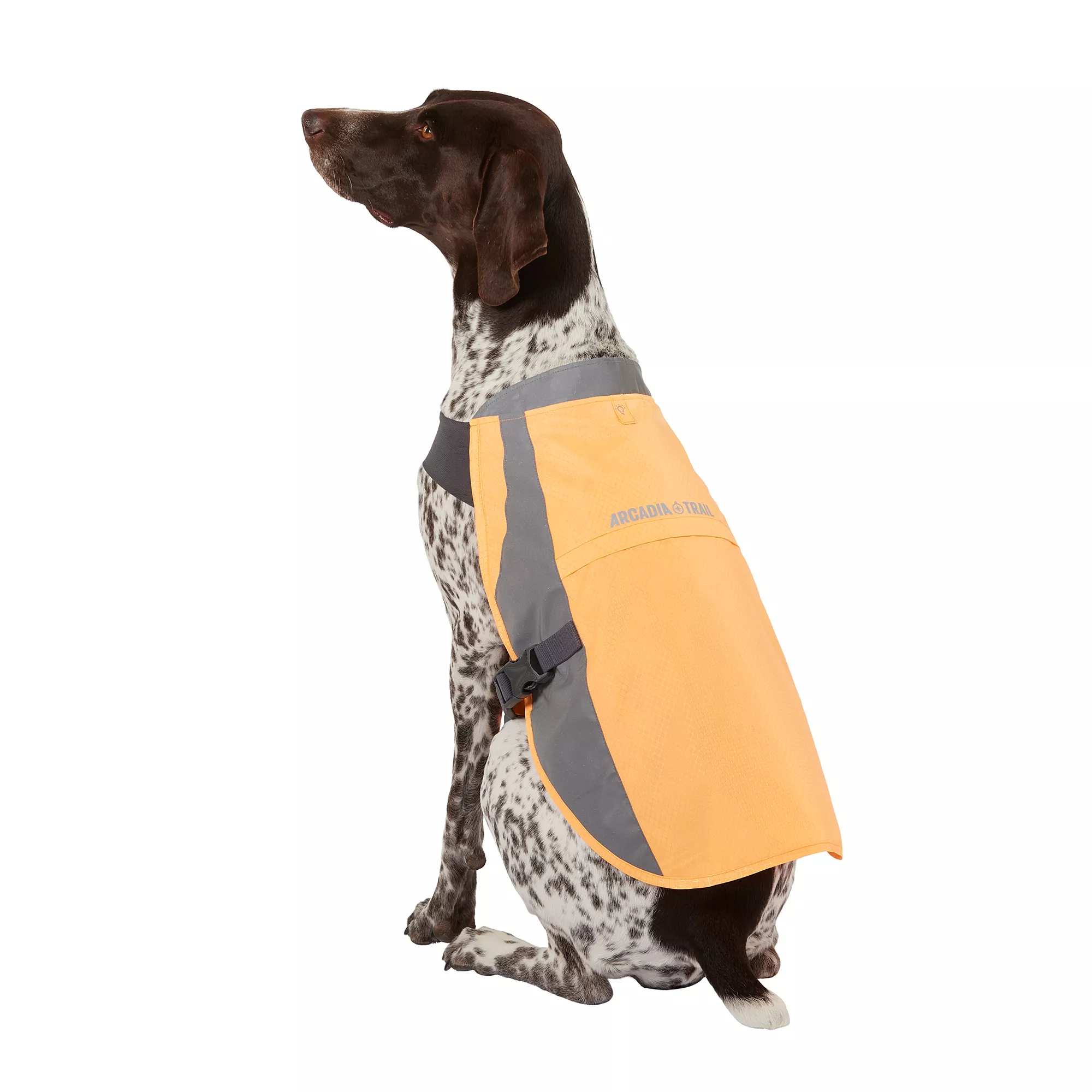 Arcadia Trail® Dog Safety Vest