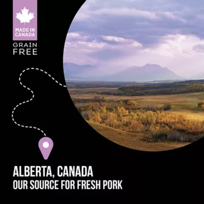 Nutrience SubZero Adult Dog Food - Limited Ingredient, Pork & Apple - Image 5