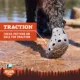 Product Arcadia Trail ™ Water Boots