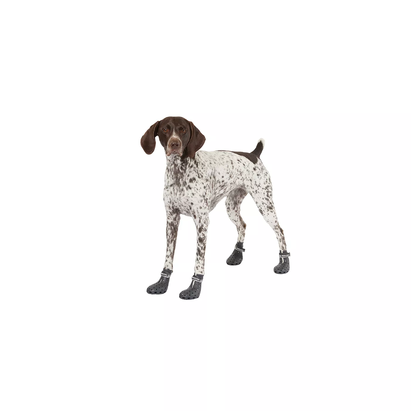 Dog water shoes petsmart store