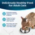 Blue Buffalo Tastefuls Adult Cat Sensitive Stomach Dry Food - Natural, Chicken & Brown Rice image thumbnail 4