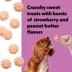 Wiggles & Wags Sunburst Peanut Butter and Strawberry Cookies Dog Treats 14 OZ image thumbnail 5