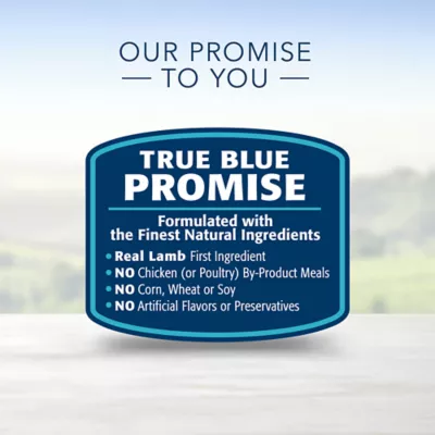 Product Blue Buffalo® Life Protection Formula™ Adult Dry Dog Food - Lamb & Brown Rice