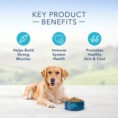 Product Blue Buffalo® Life Protection Formula™ Adult Dry Dog Food - Beef & Brown Rice