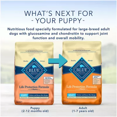 Product Blue Buffalo® Life Protection Formula™ Large Breed Puppy Dry Dog Food - Chicken & Brown Rice