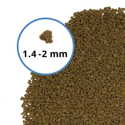 Product Fluval Bug Bites - Tropical Fish Food.