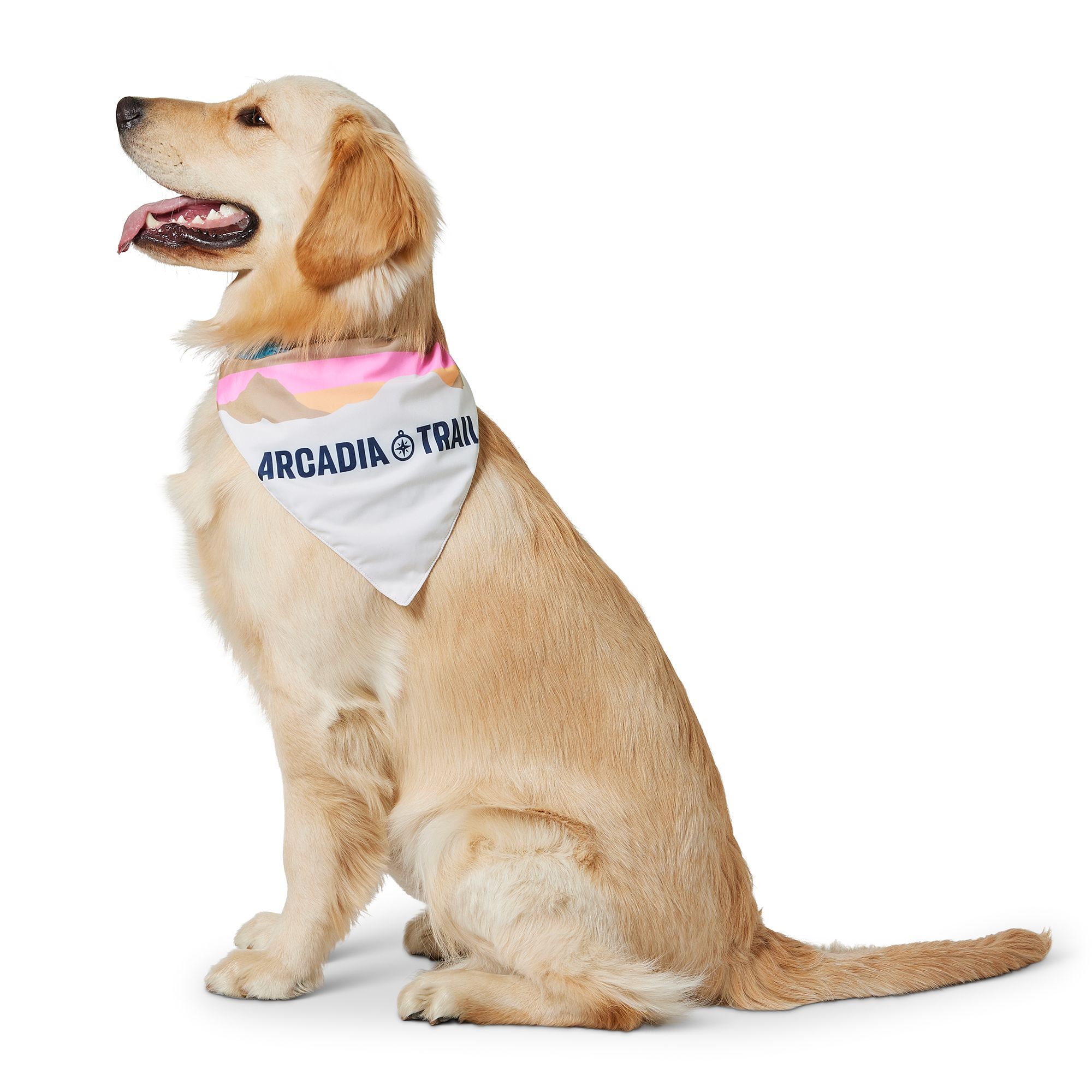 Big brother bandana hot sale petsmart