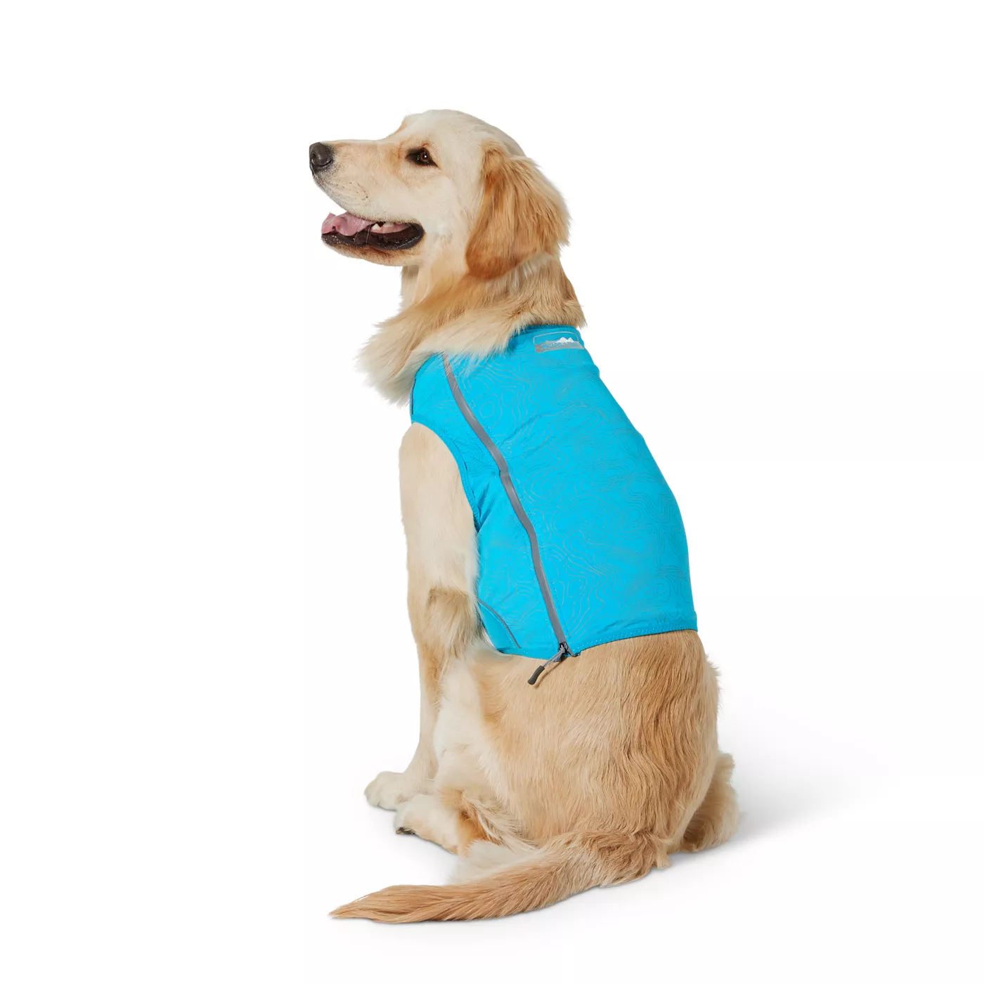 Dog fashion cooling coat