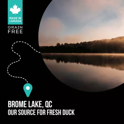 Nutrience SubZero Adult Cat Food - Limited Ingredient, Duck & Pear - Image 5